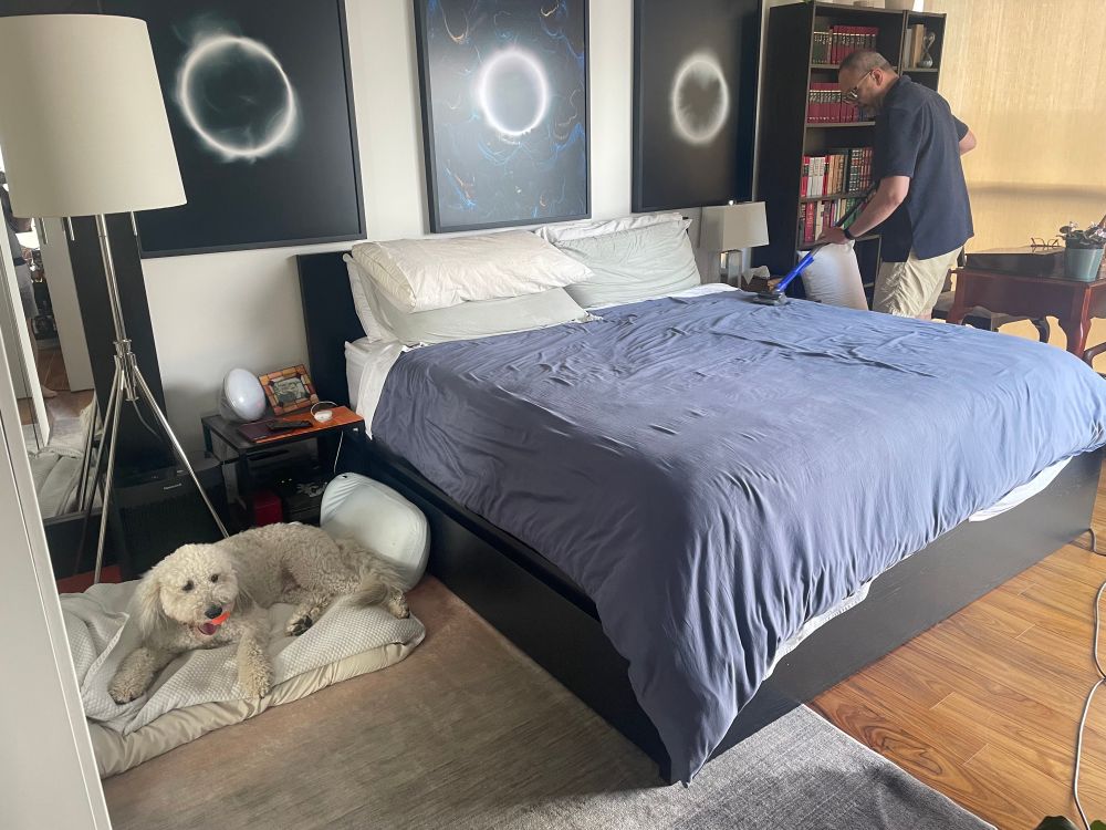 Dog lies next to bed with ball in mouth while husband vacuums the duvet cover. 