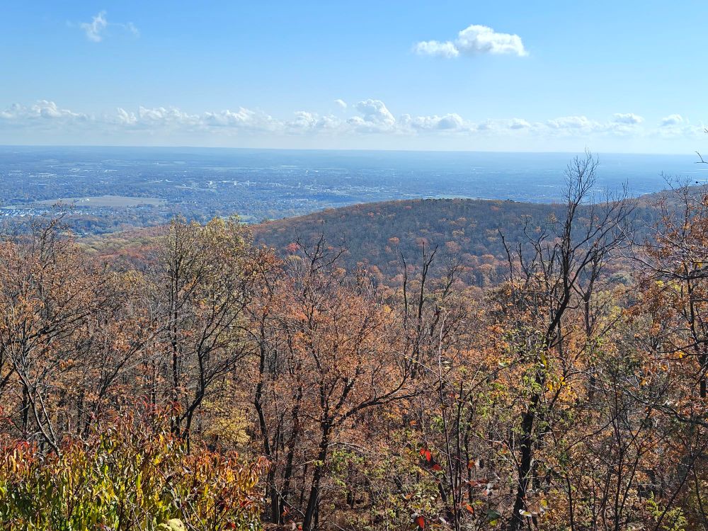 A woodsy overlook in fall colors. 