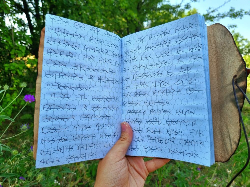 A page from the journal written in a writing system based on the game Tunic