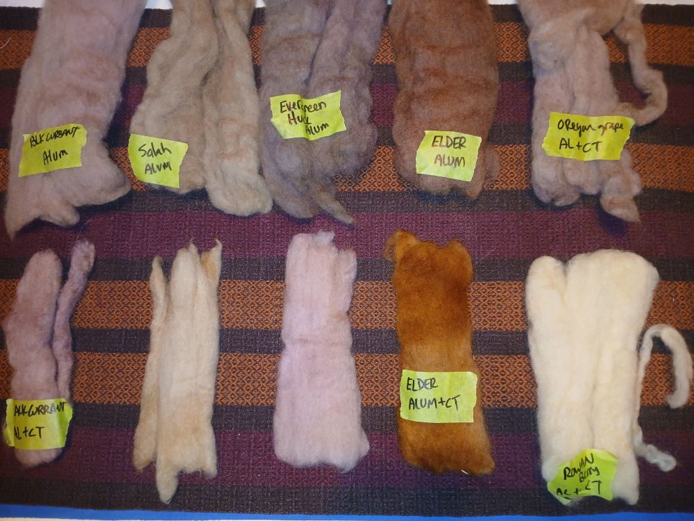 Natural dyed wool using berry crops from my yard.