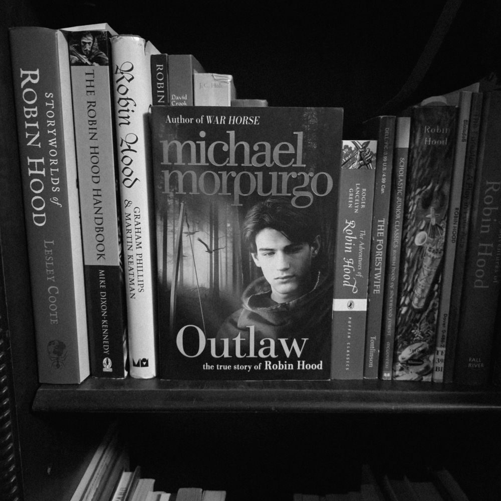 Shows the book, which features a moody teenage boy in front of a forest on the cover, in front of the spines of other Robin Hood books.