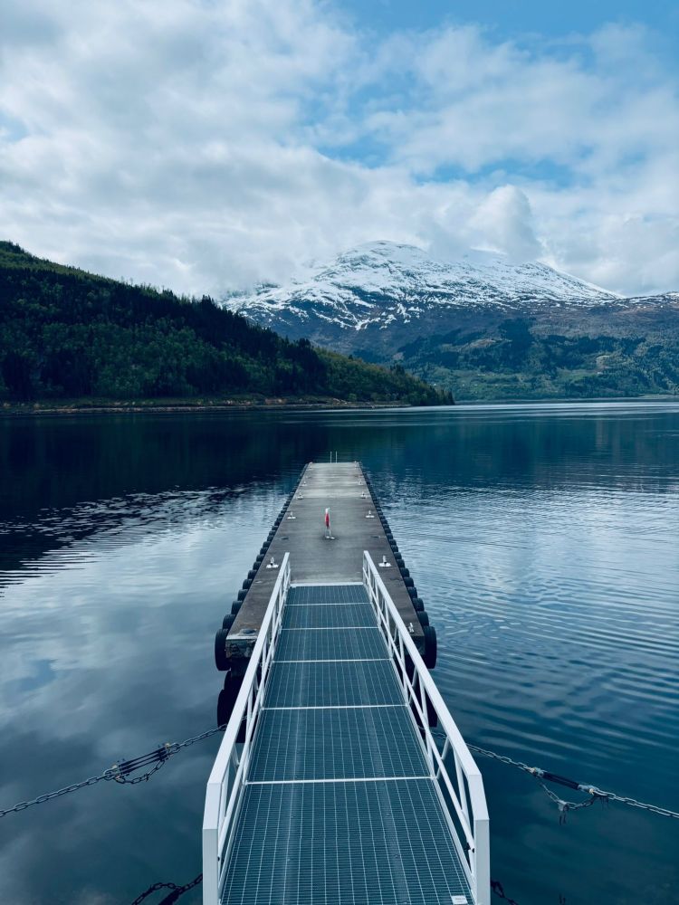
📸by me / Norwegen 
Blick auf einen leeren Bootssteg, der an einem Bergsee liegt. Im Hintergrund eine Bergspitze, die mit Schnee bedeckt ist. Das gesamte Foto in verschiedenen Blautöne.

