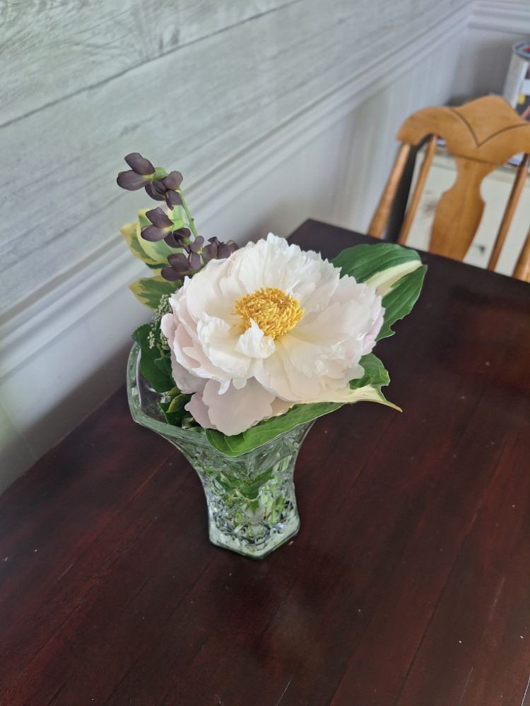 A vase on a brown table, containing babys breath, a big white multi petalled flower with yellow center, big green and white leaf and a sprig of purple little flowers