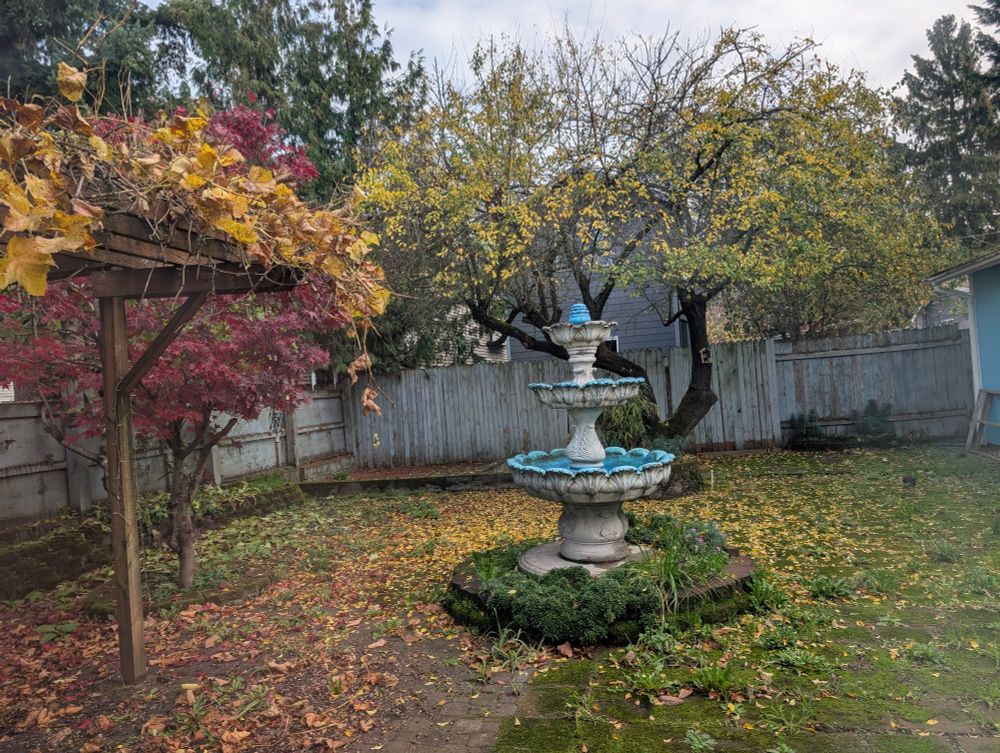 A gorgeous backyard with a pergola, several fruit trees, and a fountain.
