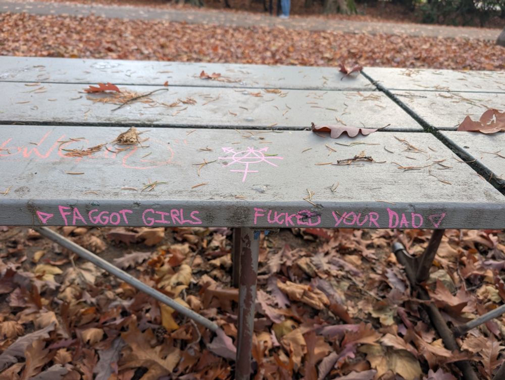 Park bench with the words FAGGOT GIRLS FUCKED YOUR DAD