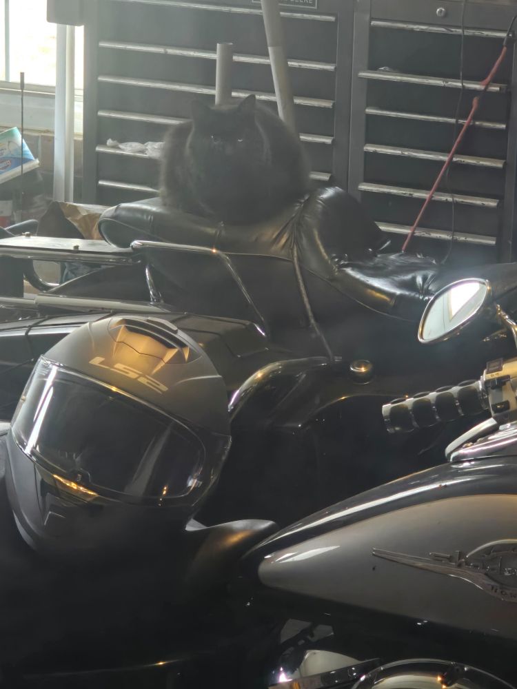 A black cat sitting on the back of a black motorcycle. There is a second bike in front with a helmet on it. 