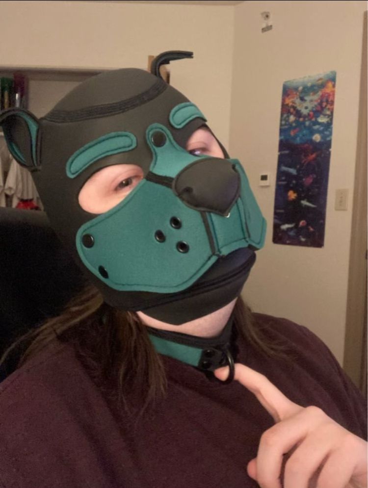 Me, clothed, in a hunter green pup hood and collar. I am looking at the camera and lightly tugging the collar forward.