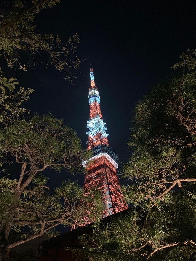 Same but photo taken through some trees 
