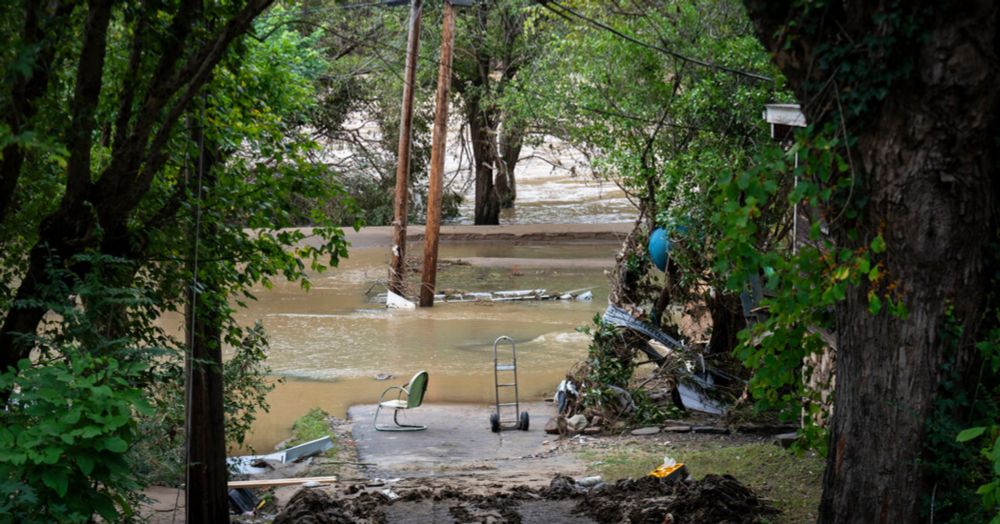 For Hours, He Clung to a Tree and Cried for Help. But None Came.