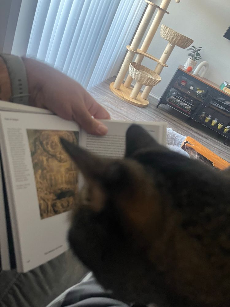 Tabby cat looking at alchemical artwork in a book