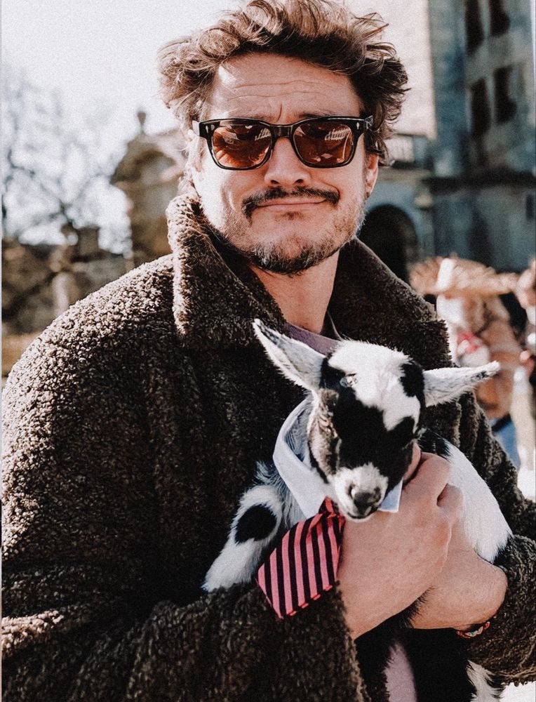 Pedro Pascal with a goat. 