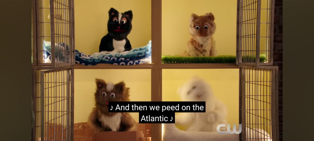 Screenshot from Crazy Ex Girlfriend of some cat puppets singing. There is a caption that says "and then we peed on the Atlantic" 