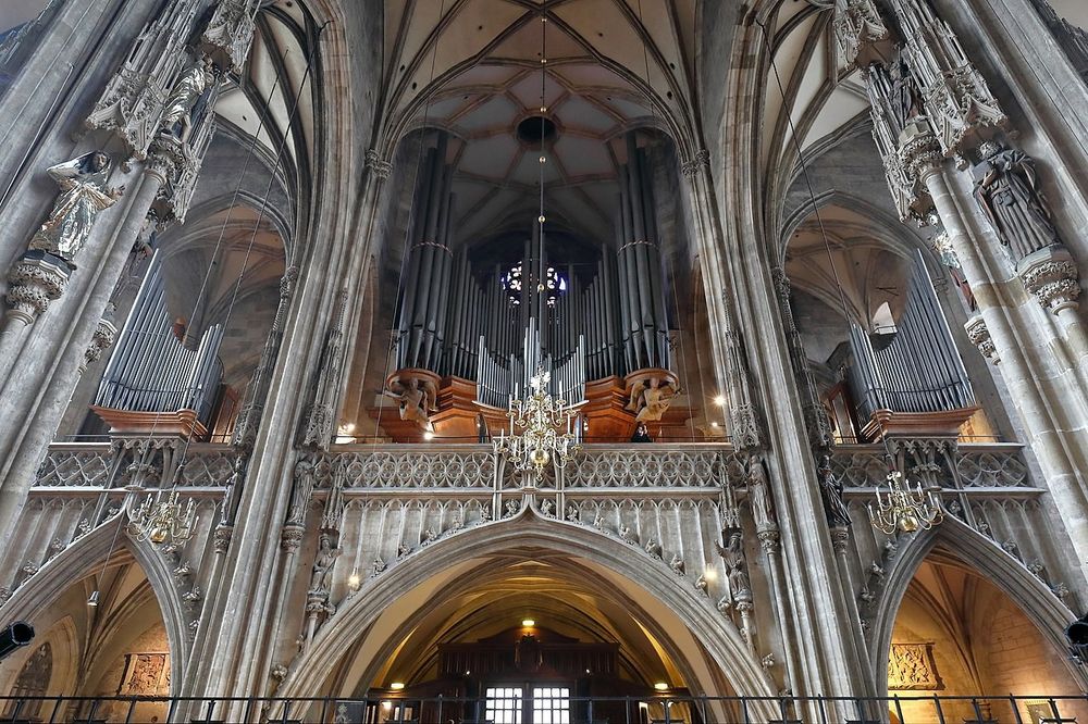 Graue, himmelsstrebende gotische Gewölbe.
Hier: Die Kauffmann-Orgel auf der Westempore des Stephansdoms in Wien.