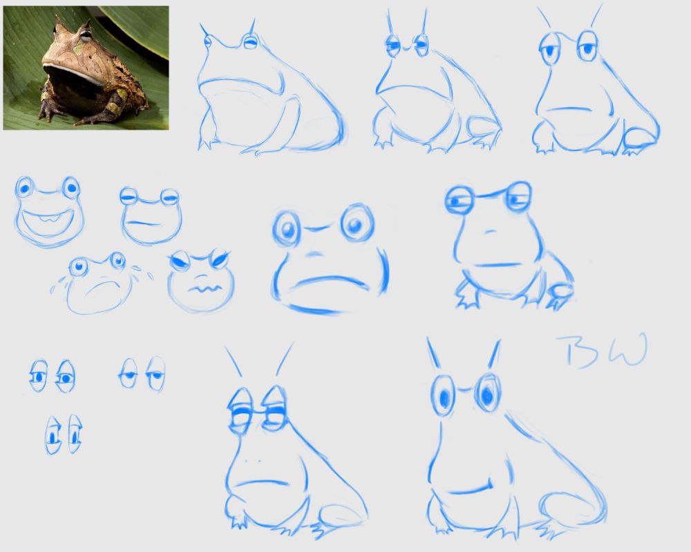 A number of cartoon style frog sketches on one page.