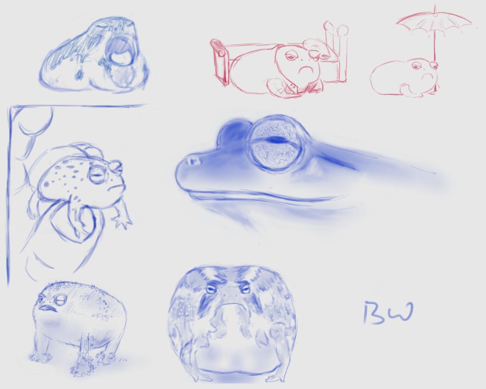 Several loose sketches of rain frogs, and one unknown species.