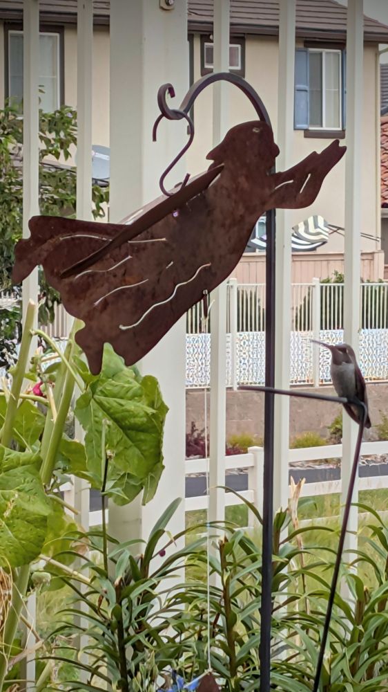 Hummingbird perched next to a metallic silhouette of an angel with a brown patina.