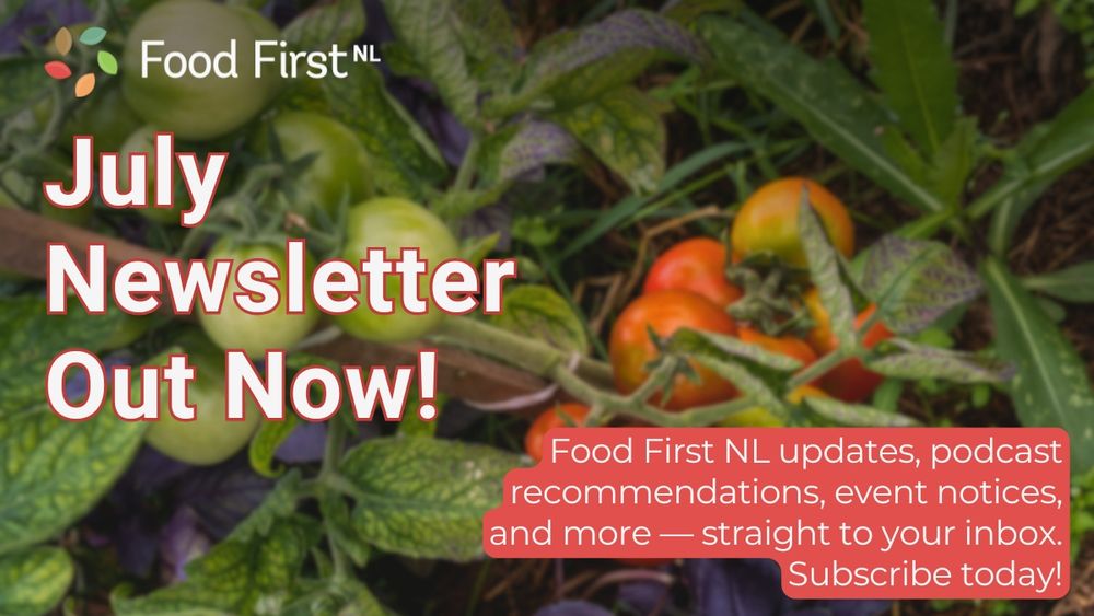 A lightly blurred background of staked tomato plants, the fruit starting to ripen from light greens to oranges and reds. Overlaid text: "July Newsletter Out Now! Food First NL updates, podcast recommendations, event notices, and more -- straight to your inbox. Subscribe today!" Food First NL logo appears top-left.
