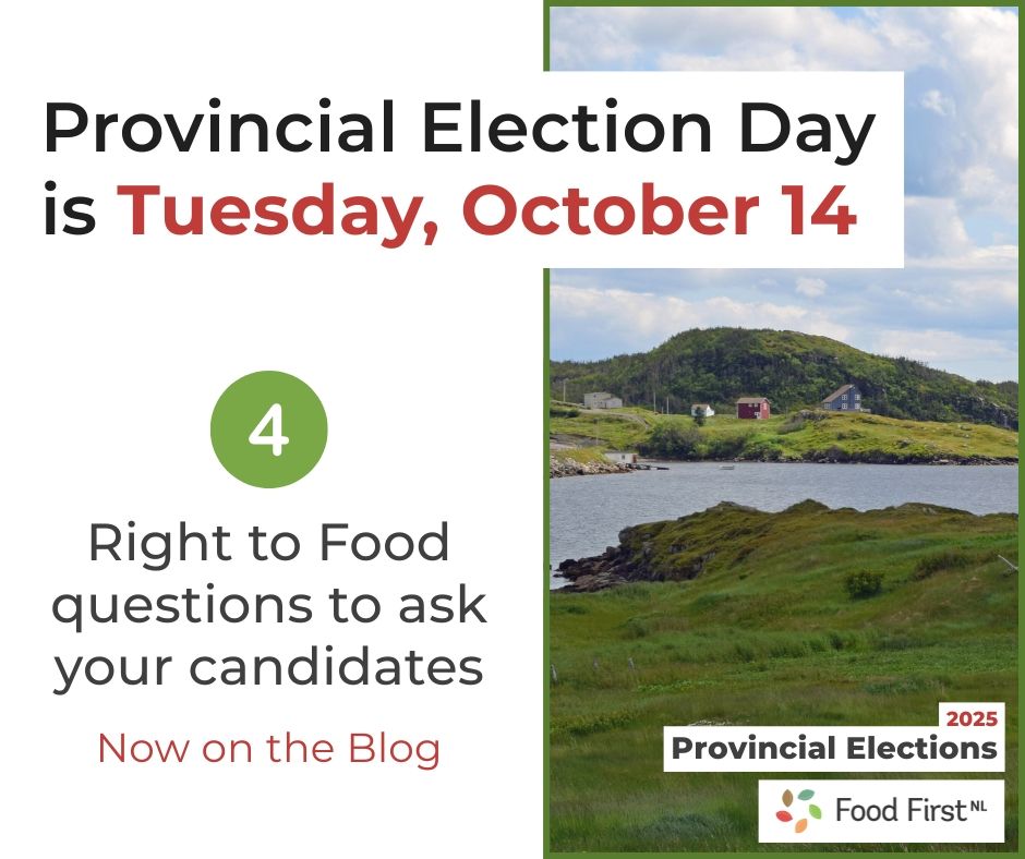 At right, a photo of lush green hills in a small inlet under blue clouded skies, with several houses visible. Food First NL logo overlaid with text: “2025 Provincial Elections”. At left, text: “Provincial Election Day is Tuesday, October 14th. 4 Right to Food questions to ask your candidates – now on the Blog”.
