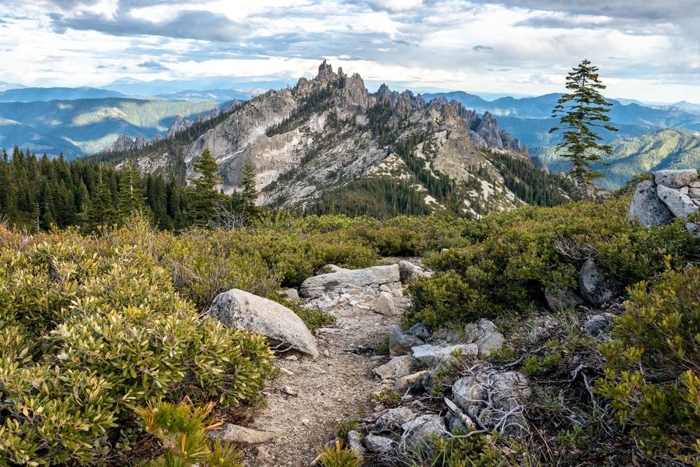 A gray rocky trail winds through green vegetation. A lone fir tree rises on the right. Craggy gray rocks rise in a massif in the distance, with sharp spires and patches of forest on their slopes. The sky is overcast.