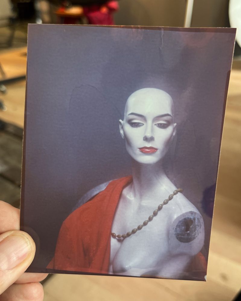 Head and shoulders image of a mannequin - RA-4 direct colour process.