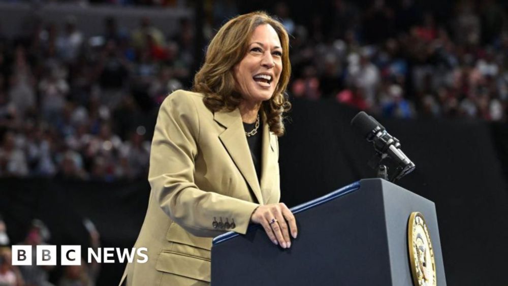 How Kamala Harris's 'weird and free' messaging is striking through