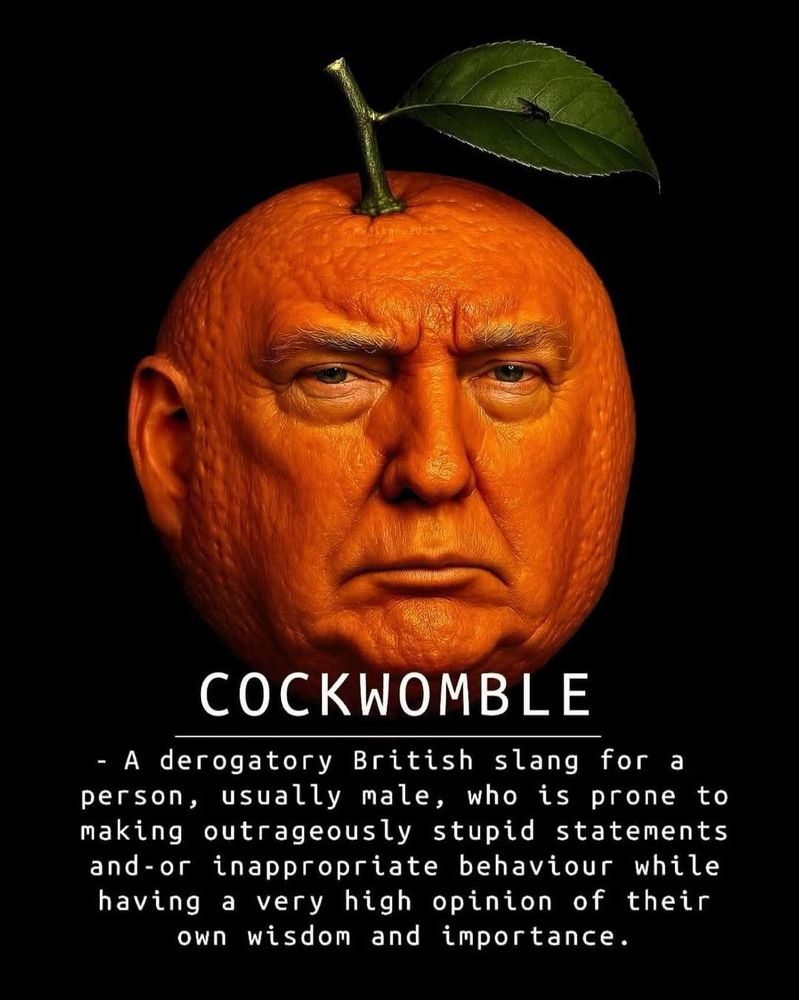 Trump is a cockwomble 