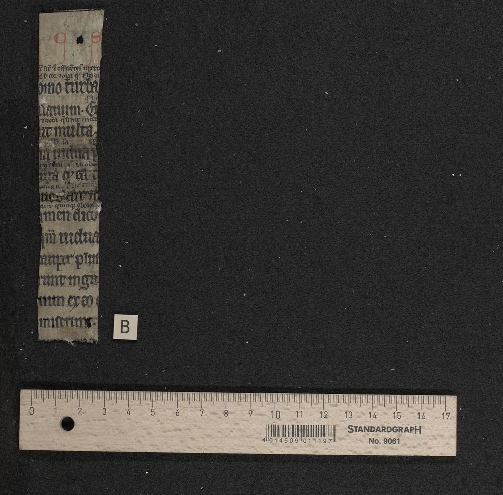 A small strip of parchment with gothic text in black. Below is a ruler.