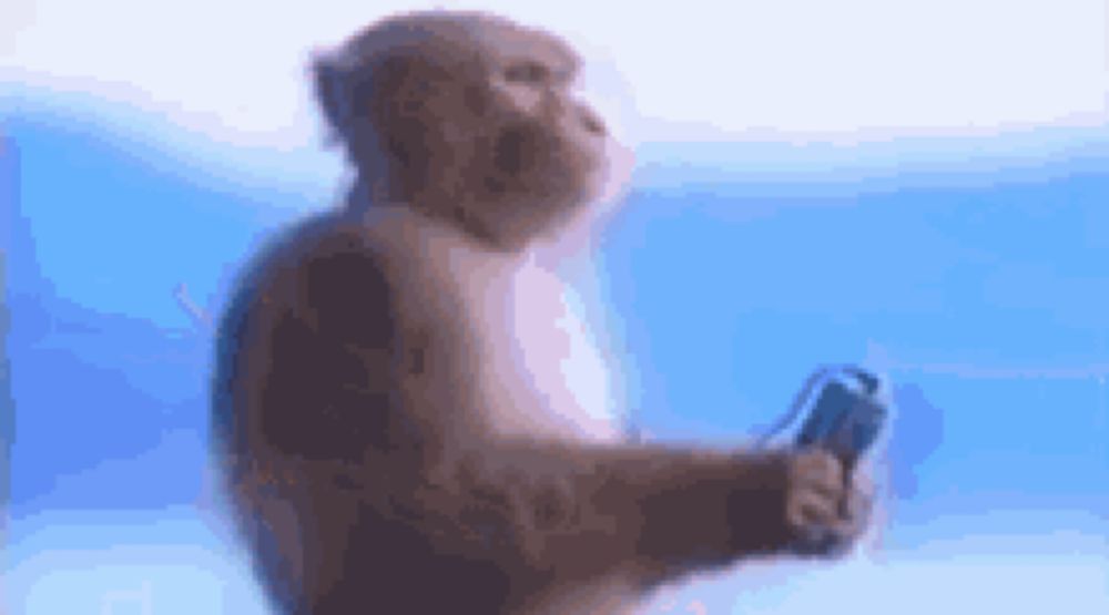 a monkey is holding a video game controller while sitting on a blue surface .