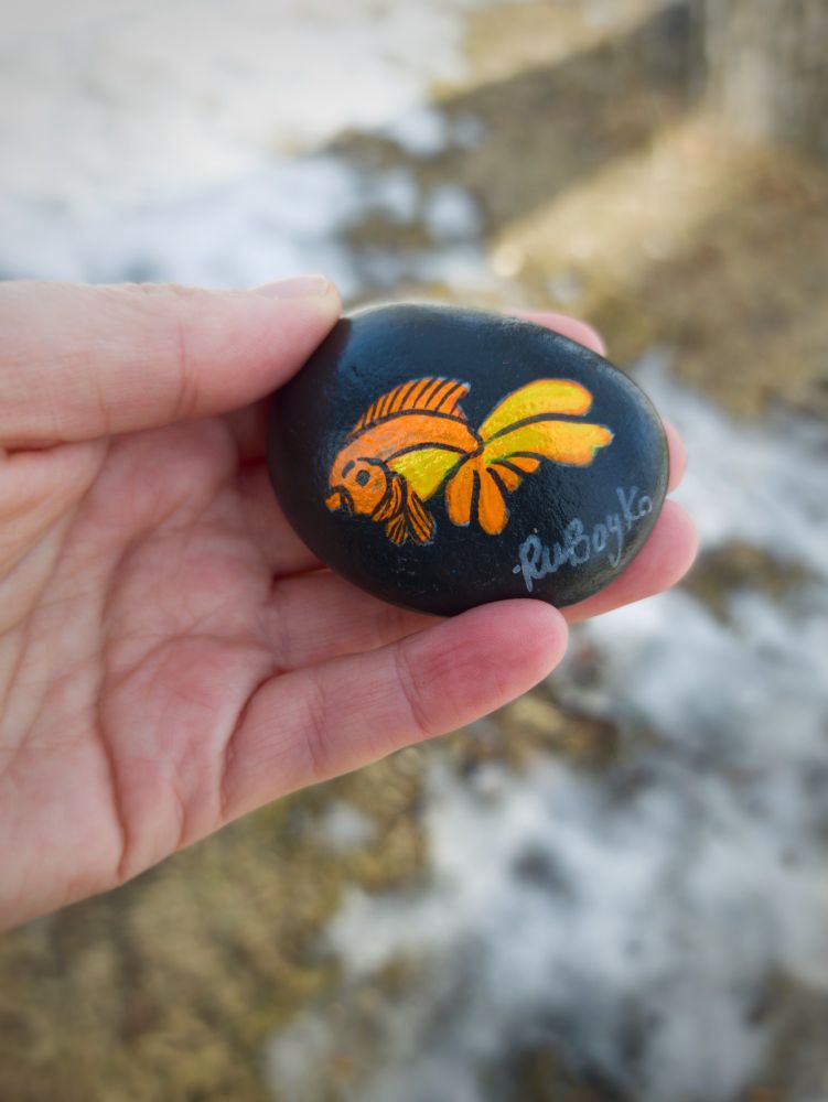 A person holds a rock that is painted black with a yellow and orange gold fish on it.