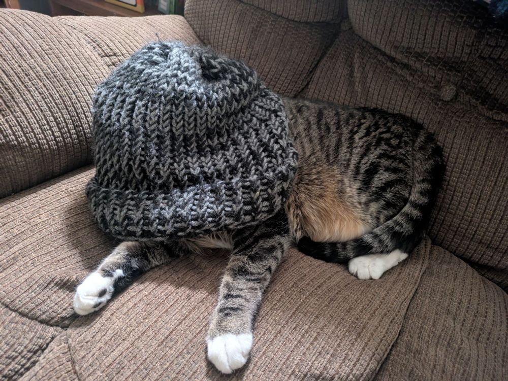 Short haired cat Chewbaca wearing a knitted hat fully over his head laying on a brown cloth couch.