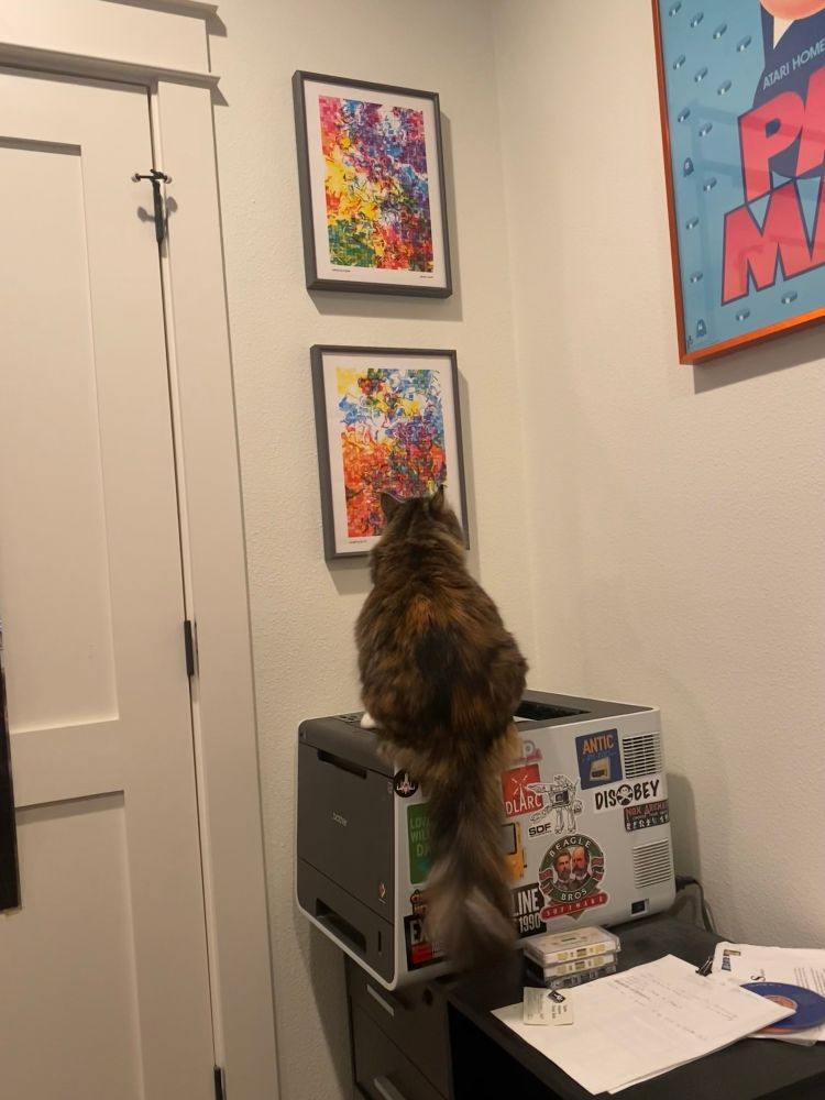 “A cat sits on top of a printer, intently staring at a colorful abstract painting on the wall. The printer is covered in various stickers and sits beside a desk cluttered with papers and cassette tapes. Two vibrant framed artworks hang on the wall above the printer.”
