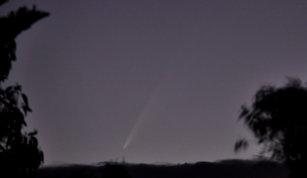 A grey sky framed by silhouettes of trees on either side and by lot clouds at the bottom. The comet is just above the clouds with a tail extending towards the upper right.