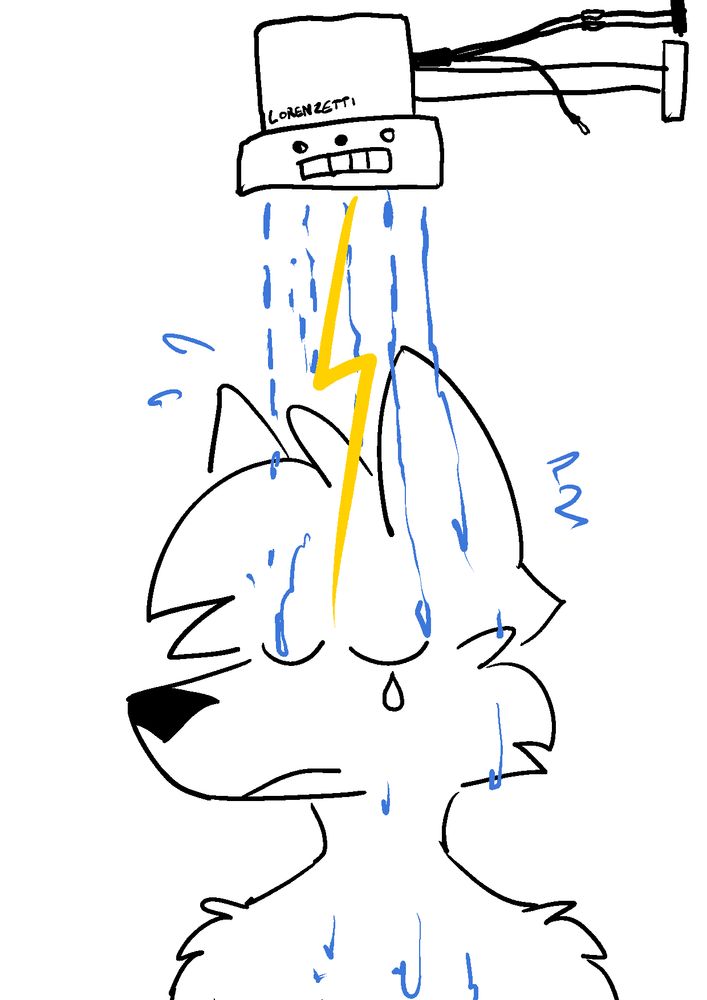 Me getting zapped by ungrounded electric shower head of death