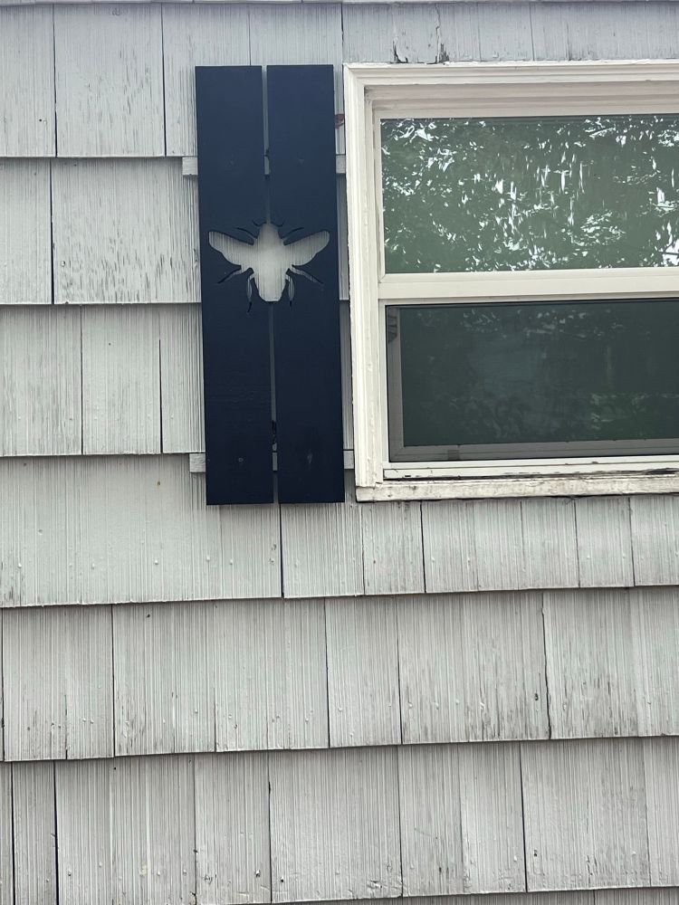 Honeybee cutout in window shutter 