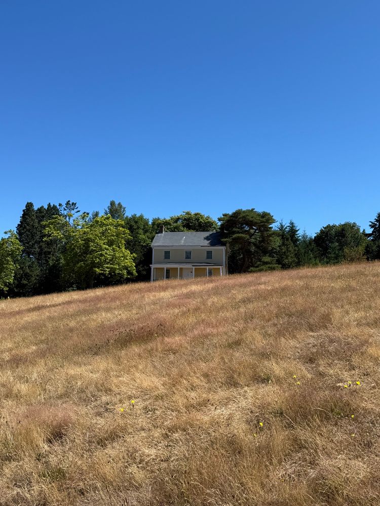 Small yellow building centered in a frame, half the shot golden field, a band of green trees, and a blue sky 