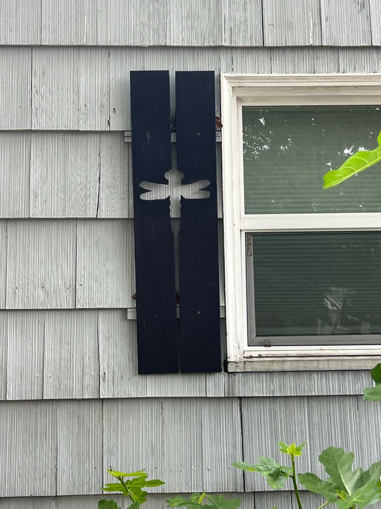 Dragonfly cutout on shutter