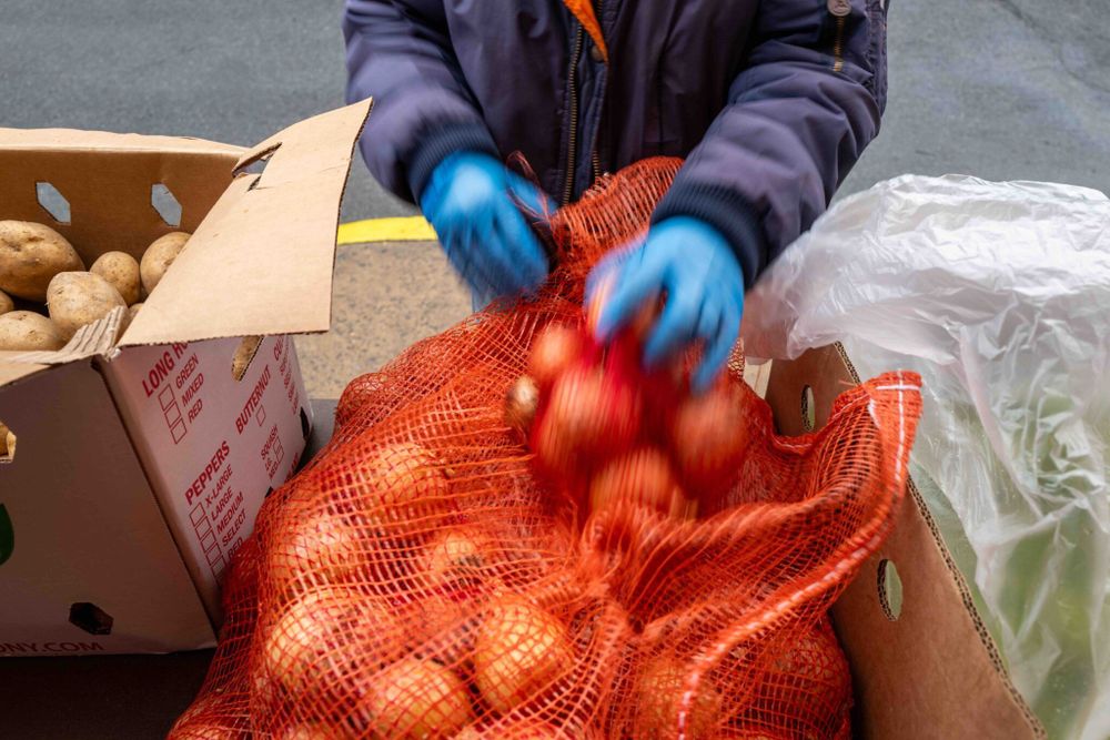 Washington’s food banks are on the brink • Washington State Standard