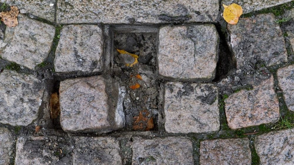 Stolpersteine gestohlen: Zeitz bekommt Tausende Euro Spenden aus ganz Deutschland | MDR.DE