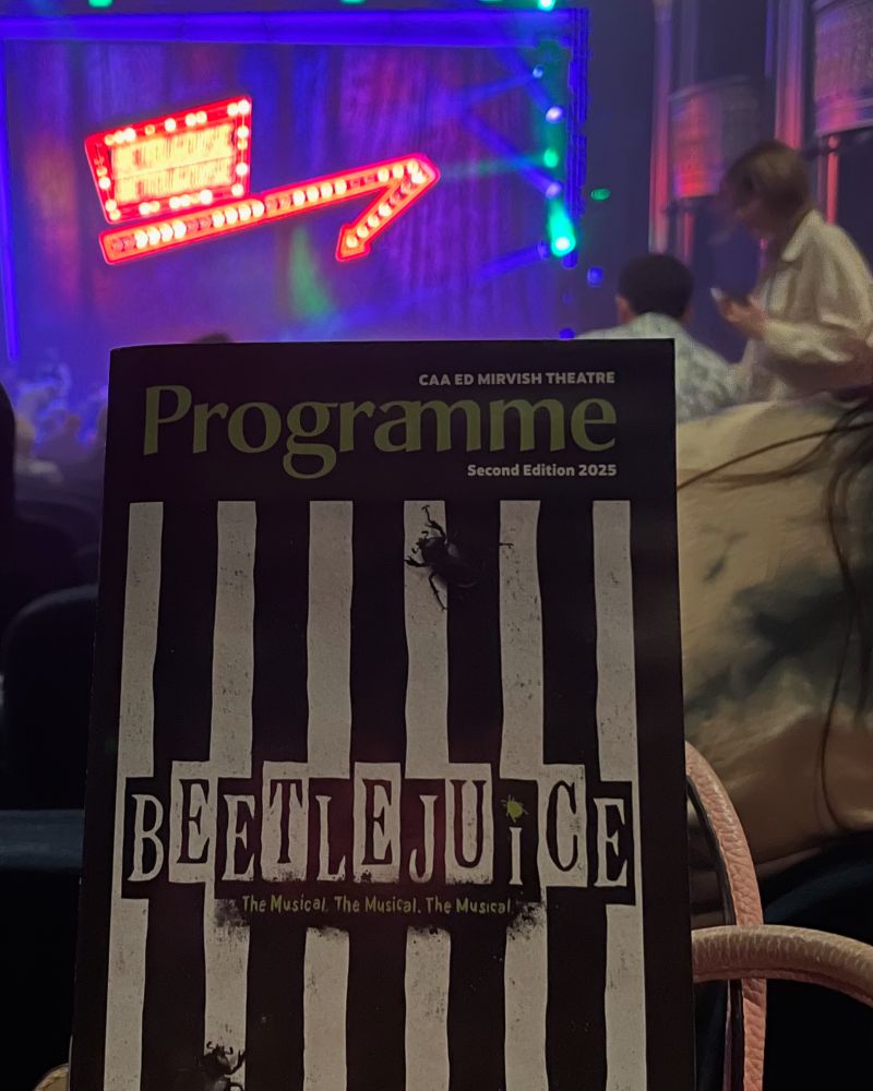 Beetlejuice programme 