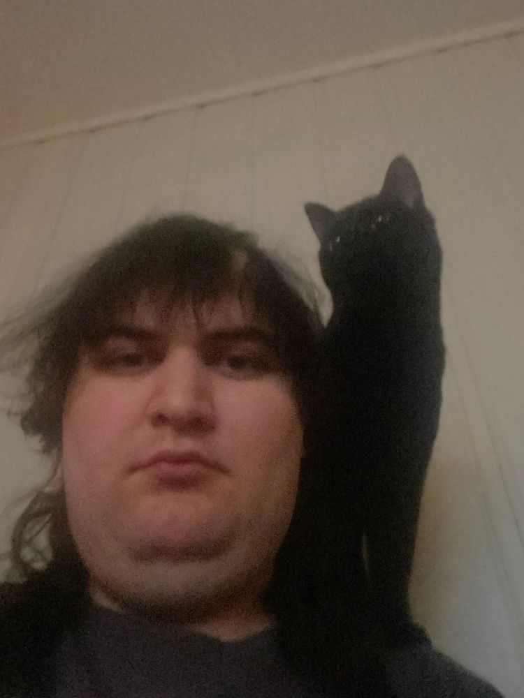 svart pus på skuldra mi