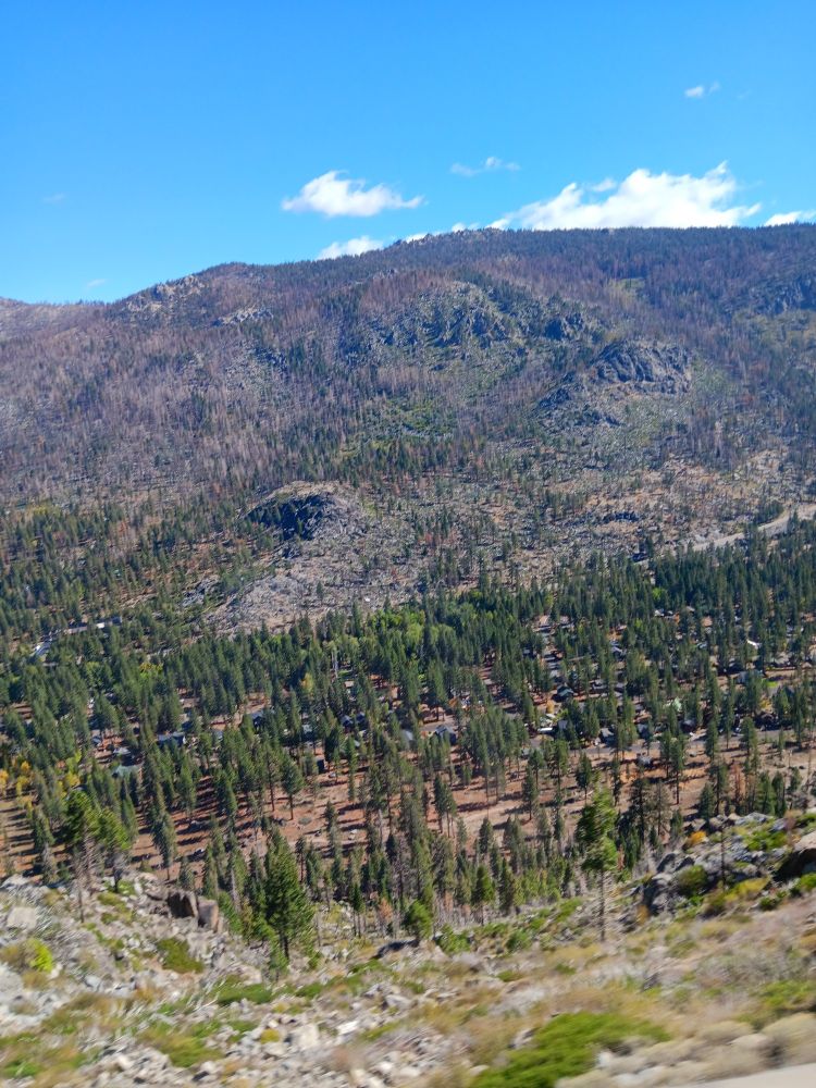 trees

my dad is driving me crazy. he's not doing anything wrong, it's just that our personalities are so different and i feel so awkward around him. i hate Blaming Everything On Mom but she was always agitated by him and never him it from me lmao. And never passed up an opportunity to complain about him to me :))))) Which makes our relationship very weird and uncomfortable!!!