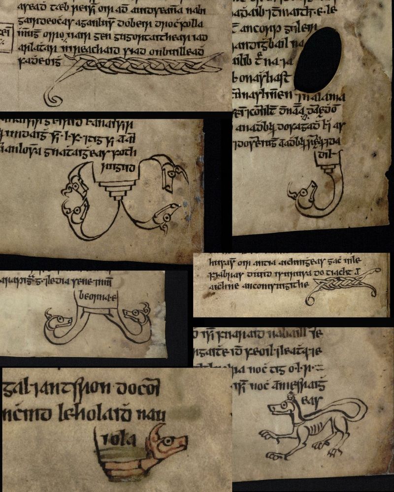 Manuscript pages displayed, showcasing various intricate designs and patterns throughout the text and illustrations.
