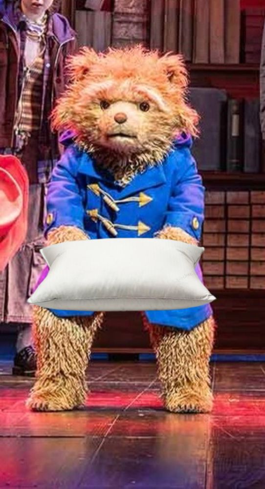 Angry Paddington holding a pillow