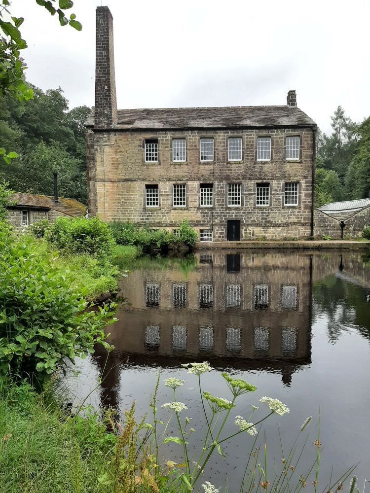 An old mill and its reflection in a mill pond. Cow parsley flowers in the foreground. Photo is portrait oriented to include the tall chimney and its reflection. Dull sky, sadly.