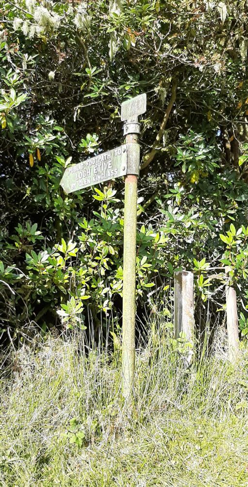 Public Footpath to Loch Etive via Glen Kinglass. Appears to point through a laurel hedge but there was actually a track just beyond the corner.