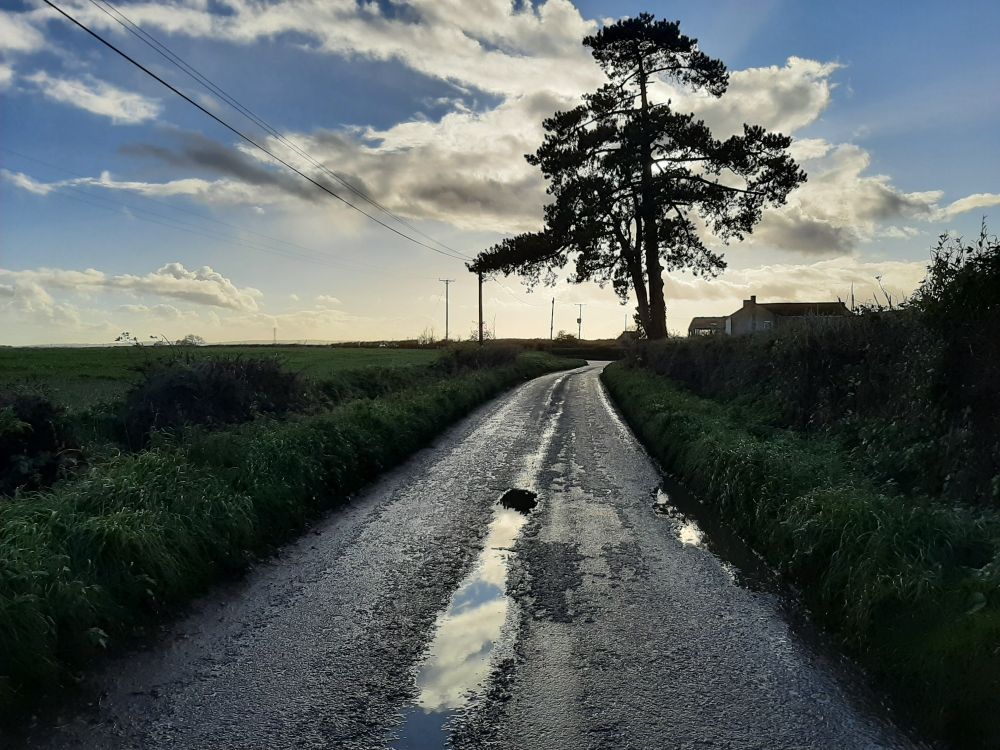 Looking along a quiet single track road. Tree silhouetted against a cloud in a blue sky with the sun behind the cloud.
