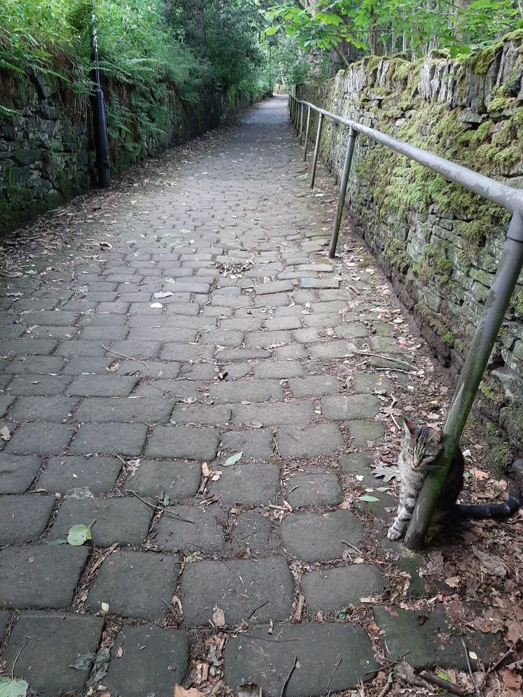 As described in the post! Moss covered stone walls either side.