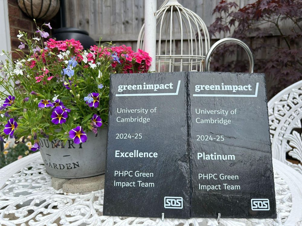 Picture of 2 awards next to a pot of flowers on a garden table.