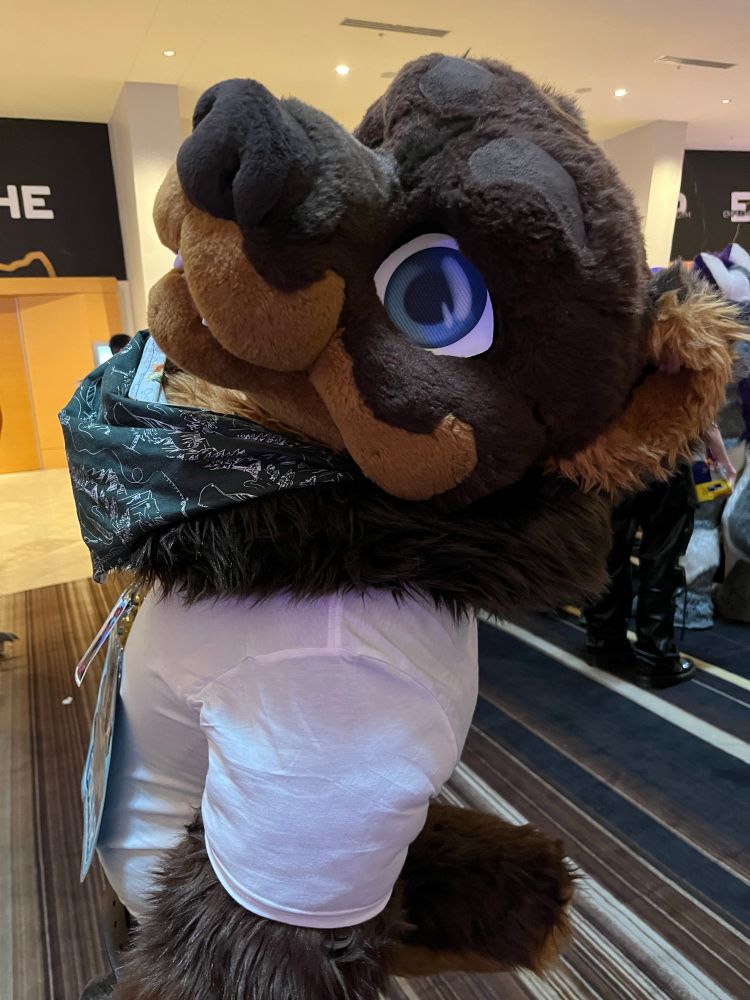 Furry fursuit bear 