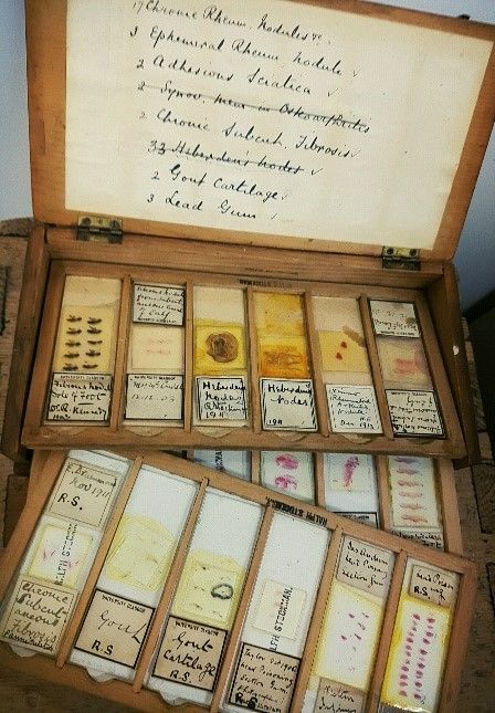 A small wood cabinet with drawers opened displaying labelled microscopic histology slides of tissue preparations. 